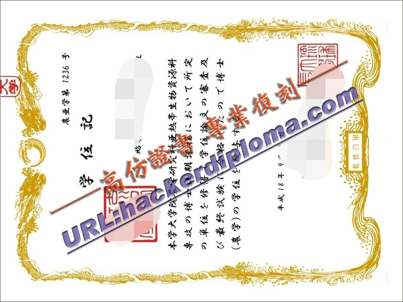 探索原版琉球大学文凭：如何辨别真伪与获取途径