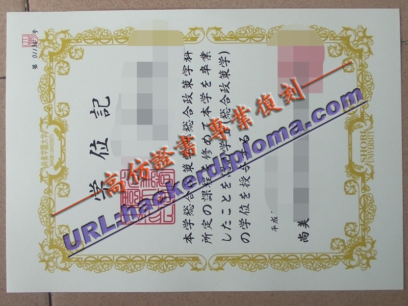 如何定制尚美学院大学文凭:打造专属学历之路