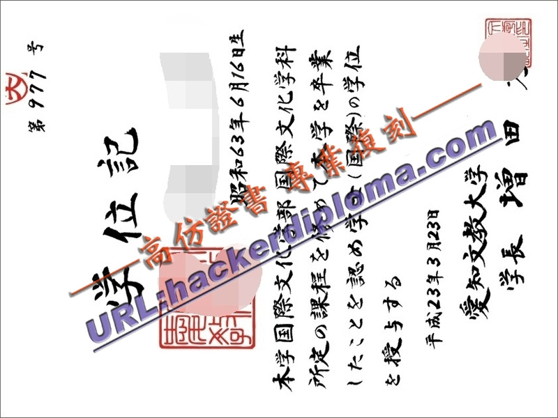 如何定制爱知文教大学文凭：个性化毕业体验