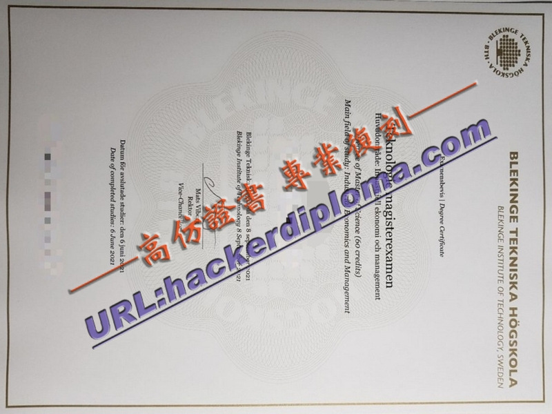 布莱金厄理工学院毕业证快速办理 | 一文详解申请流程与注意事项