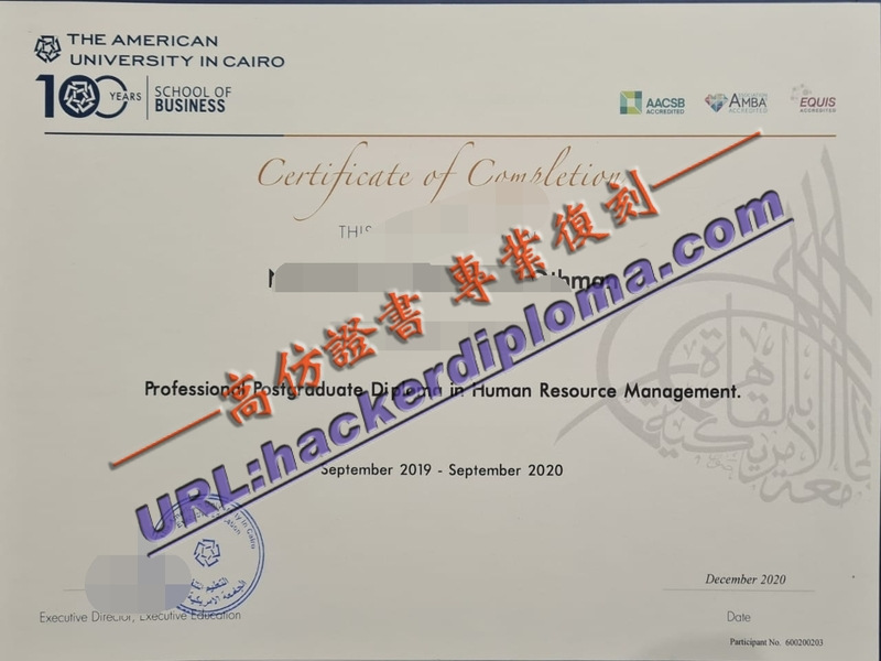 开罗美国大学文凭快速制作：一站式服务指南