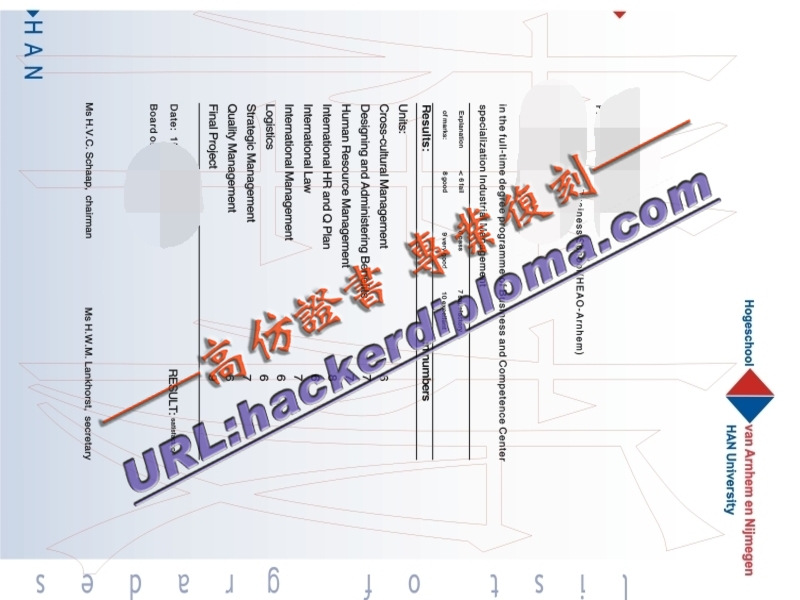 🧩 荷兰大学毕业证仿制:揭秘与应对策略