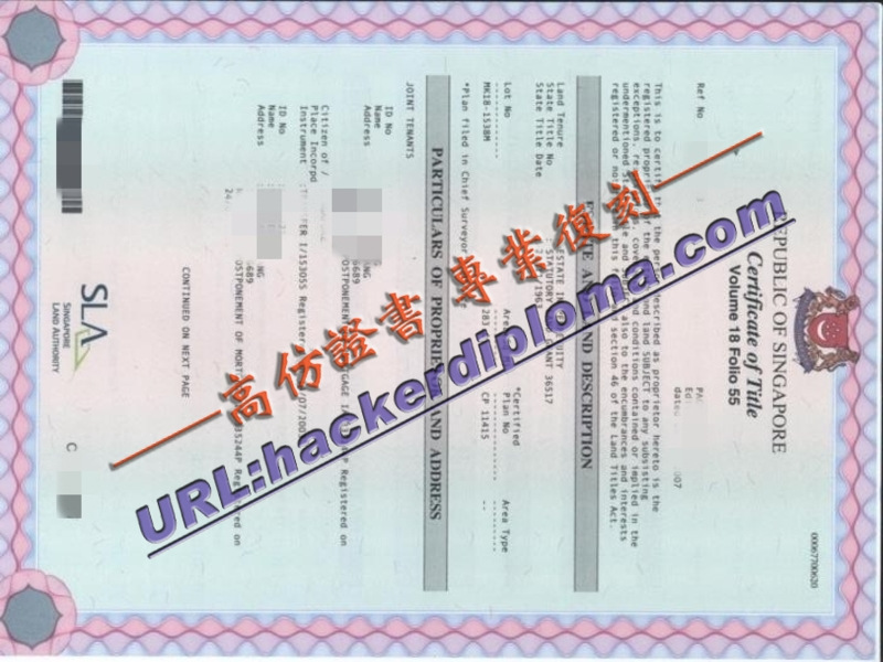 详解“一比一原版新加坡房产证”：收藏家的最爱