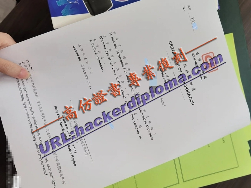 一比一复刻香港营业执照：详解制作流程与应用场景