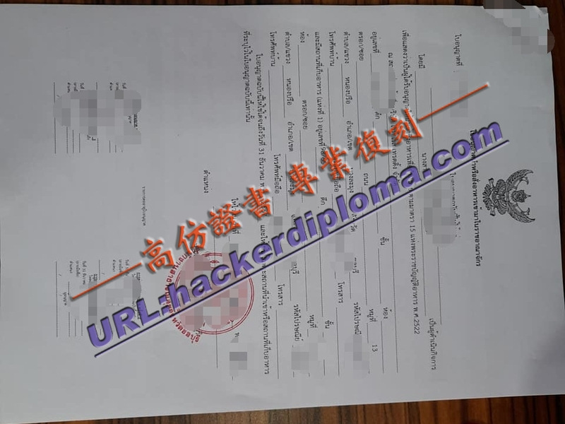 仿真泰国食品入境许可证：如何顺利带泰国美食回国