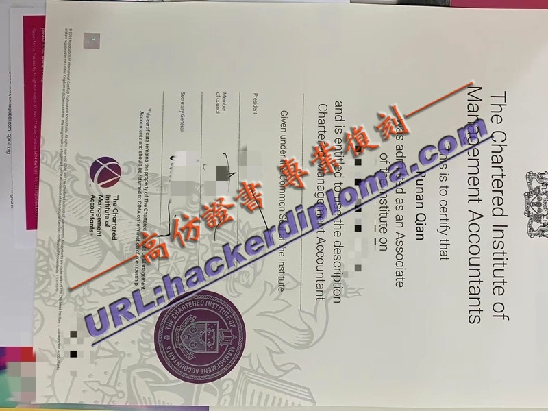 加急办理英国特许管理会计师：快速掌握职业资格的秘诀