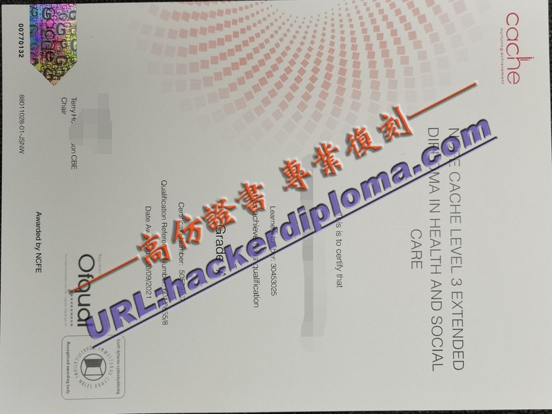 原版制作 | 英国三级儿童保育和教育证书：通往卓越的起点