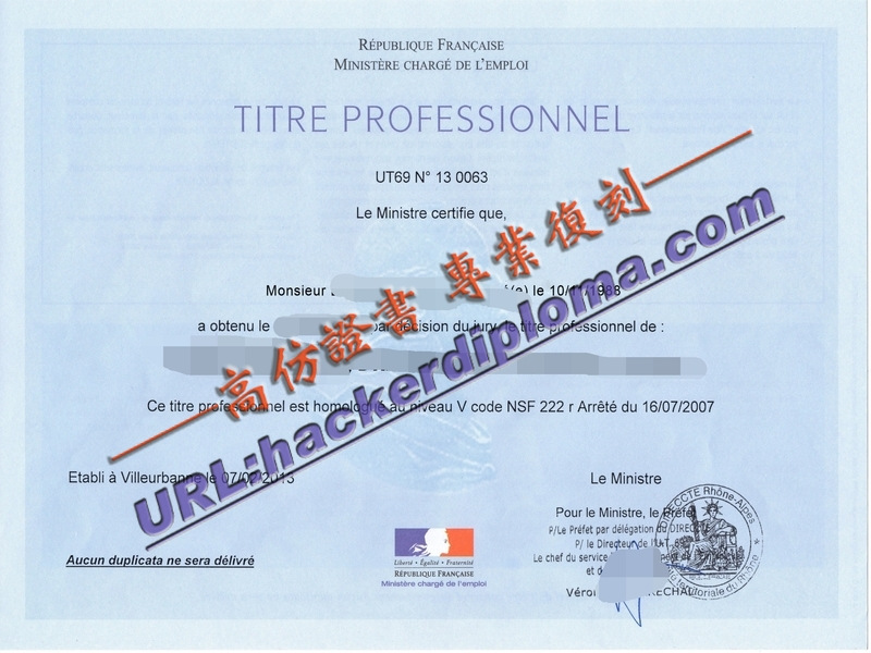 定制原版法国职称资格证:轻松获取国际认证的秘诀