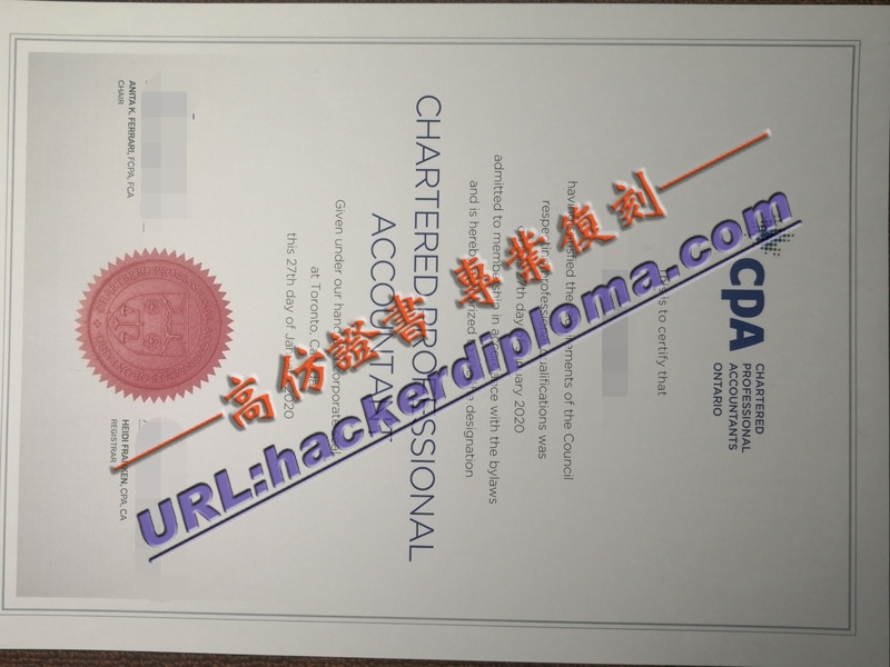 精仿加拿大特许专业会计师证书：提升职业竞争力的利器