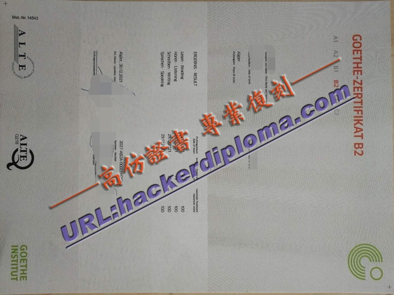 购买德语歌德证书：提升你的语言实力与职业竞争力