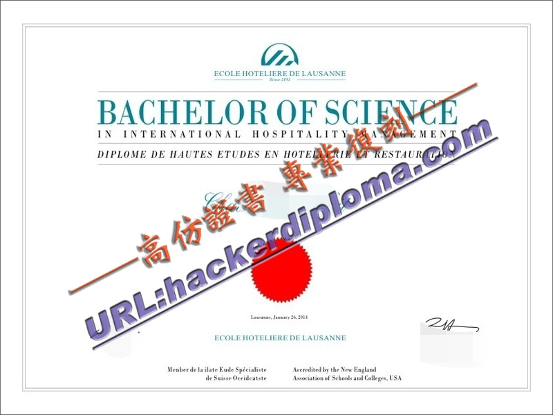 🚀【仿真】洛桑酒店管理学院文凭:打造非凡的酒店与旅游管理之旅