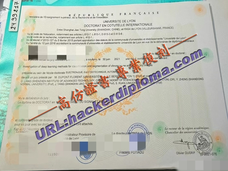 法国里昂大学文凭：一站式办理指南