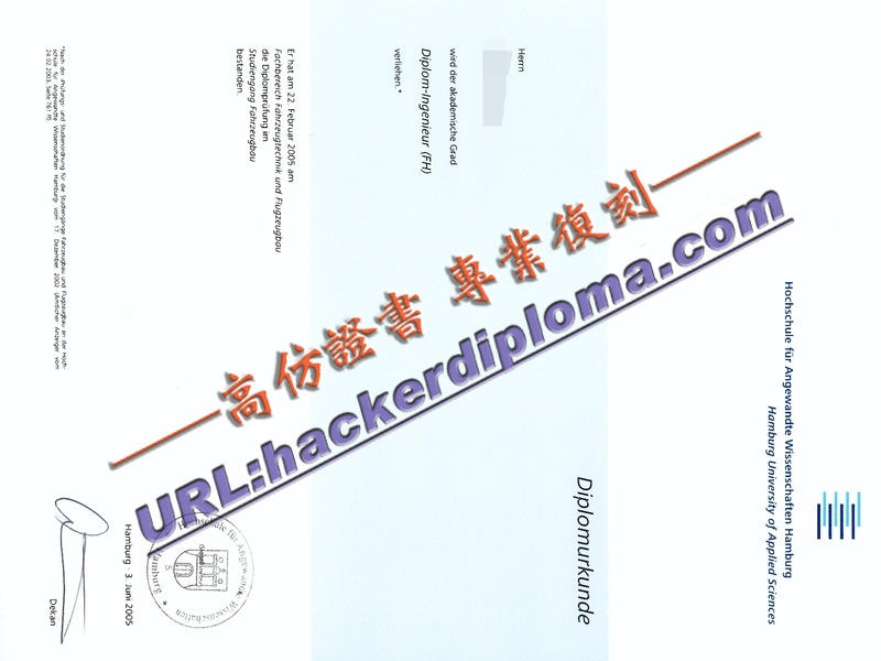 精仿汉堡应用技术专业的大学文凭:开启美食与创意的黄金时代