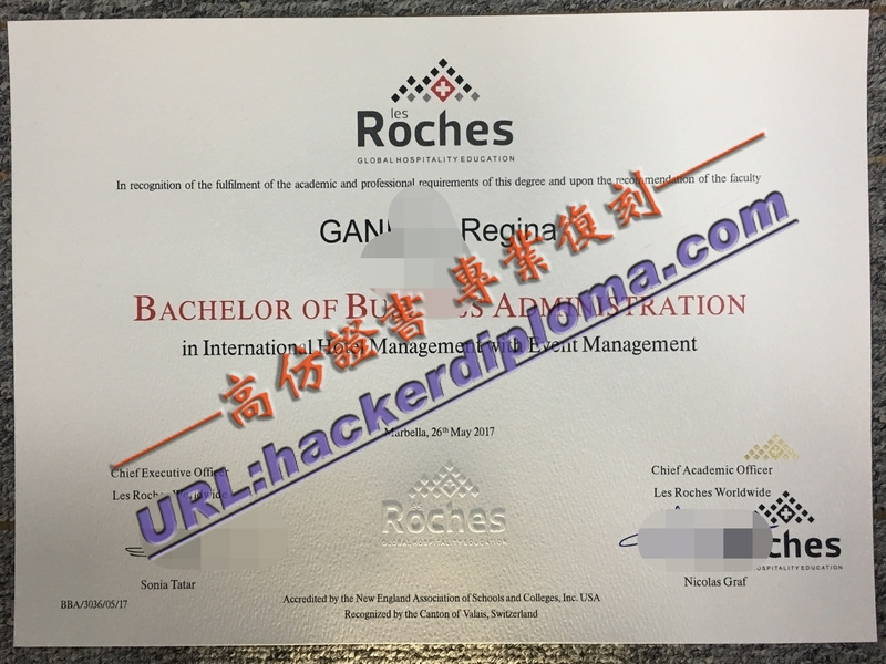 探索订制理诺士国际酒店管理学院文凭：开启您的职业生涯新方向