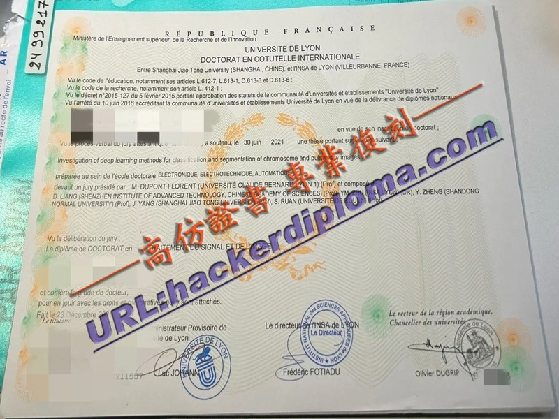 里昂大学文凭办理：一站式指南